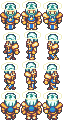 paladin_1_1.png