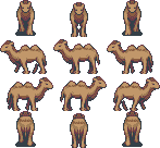 camel2_single_1.png