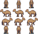camel_single_1.png