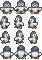 Penguin Chick