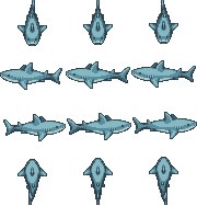 shark_full_blue_1.png